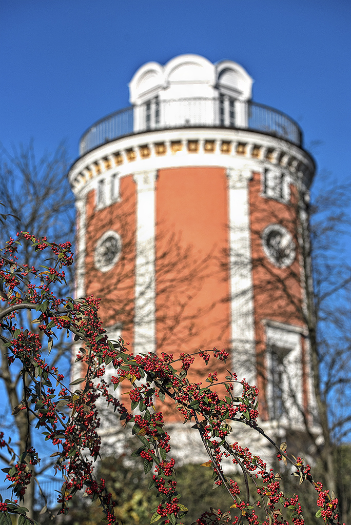 4711 Botanischer Garten WTL20151102_0090 als Smartobjekt-1 Kopie.JPG